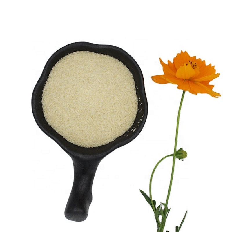 LUOHE E-KING Gelatin Gelatin Factory Outlet China Suppliers Gelatin Price