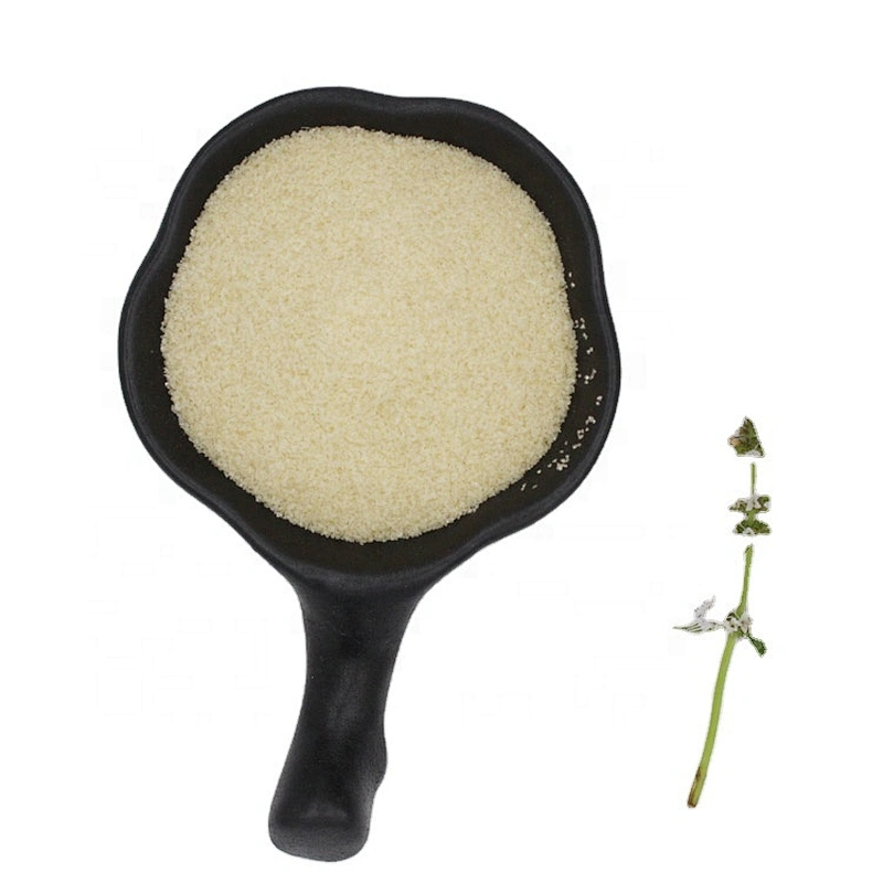 LUOHE E-KING Gelatin Gelatin Factory Outlet China Suppliers Gelatin Price